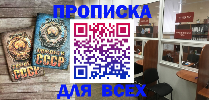 прописка поиск в Шадринске